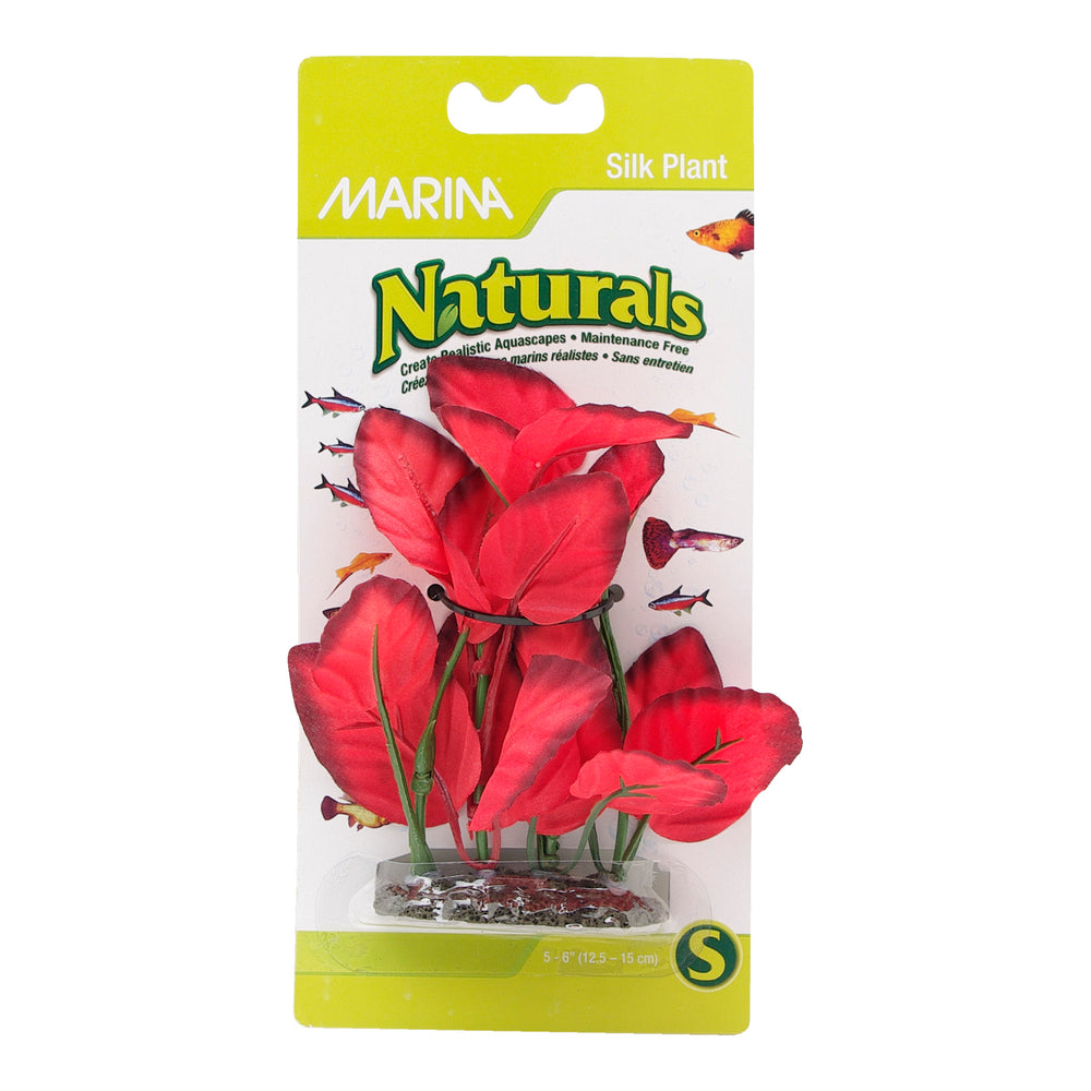 Marina Naturals Red Foreground Silk Plant