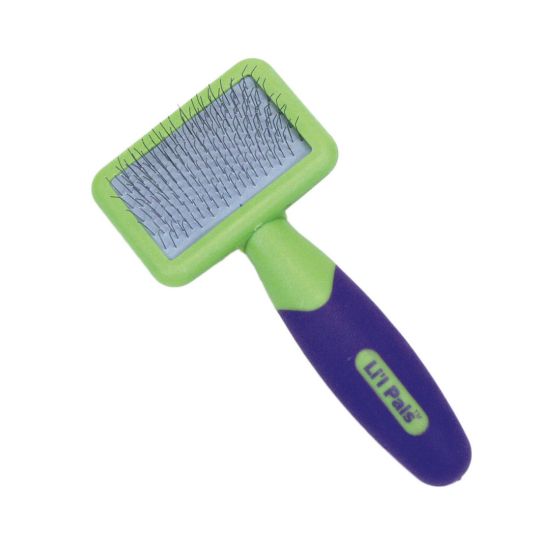 Coastal Li'l Pals Kitten Slicker Brush
