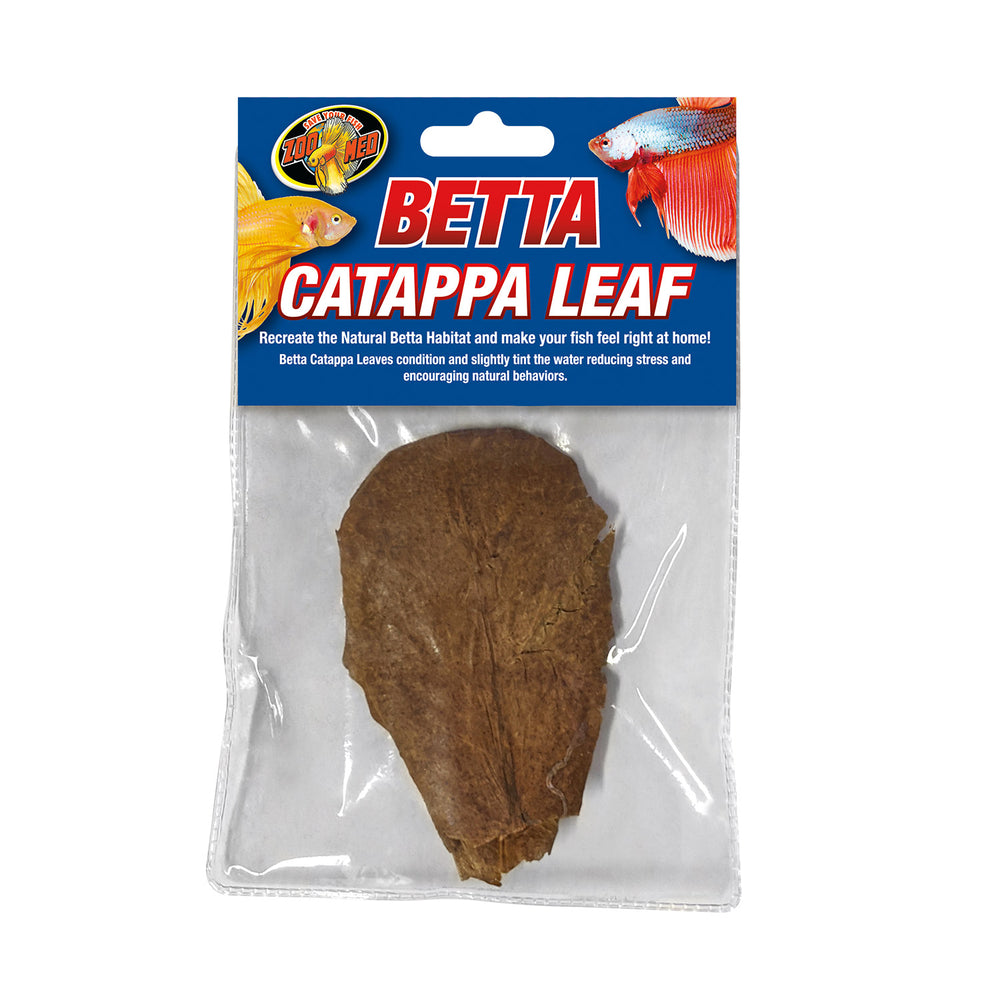 Zoo Med Betta Catappa Leaf