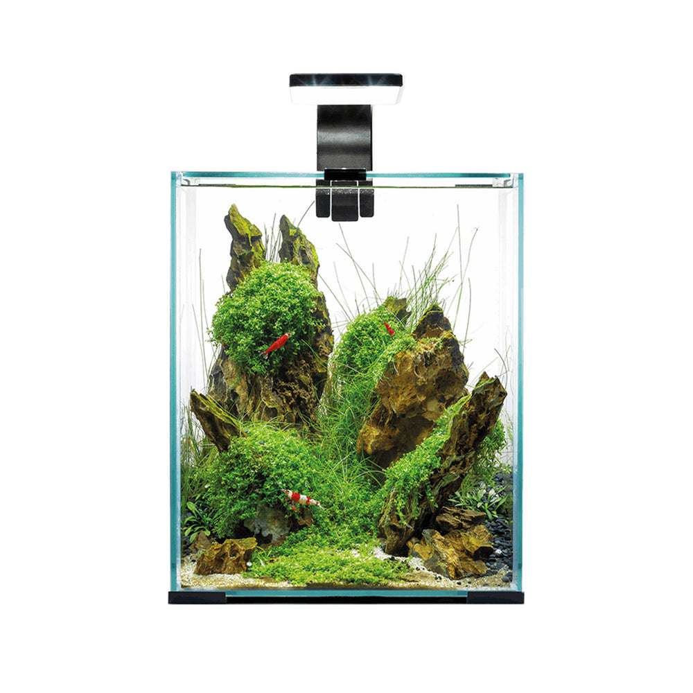 Aquael Shrimp Set - Day & Night