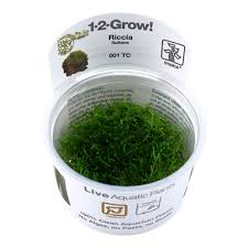 Tropica 1-2 GROW! Riccia Fluitans