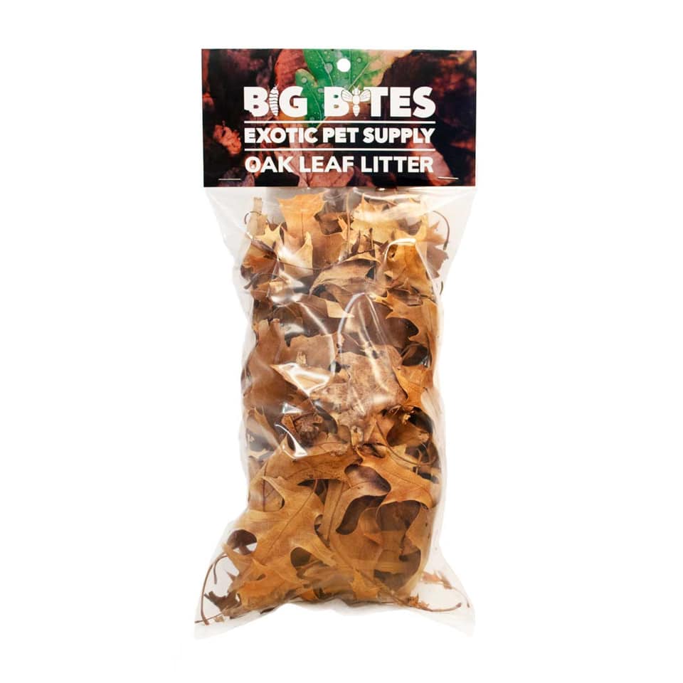 Big Bites Oak Leaf Litter