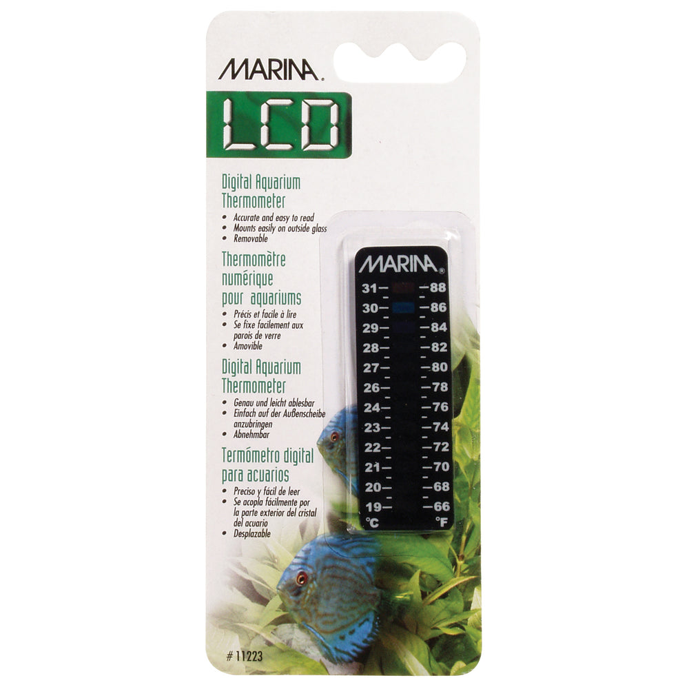Marina LCD Digital Thermometer