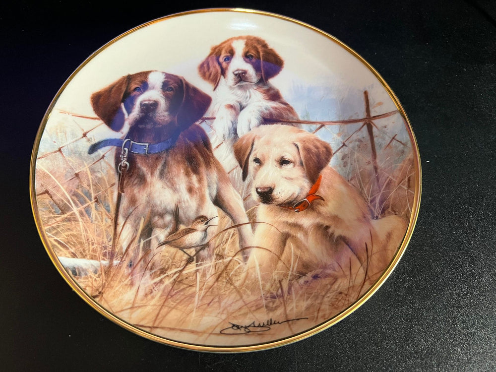 Franklin Mint Collector Plate "Sporting Trio"