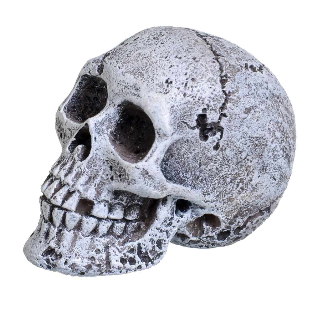 U.T. Mini Skull