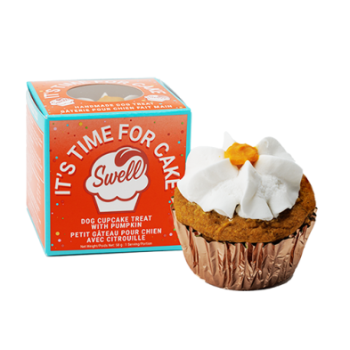 Swell™ It's Time for Cake Pumpkin Pupcake Frozen Dog Treat