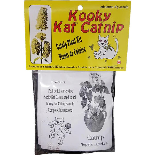 Kooky Kat Grow Yer Own Catnip Plant