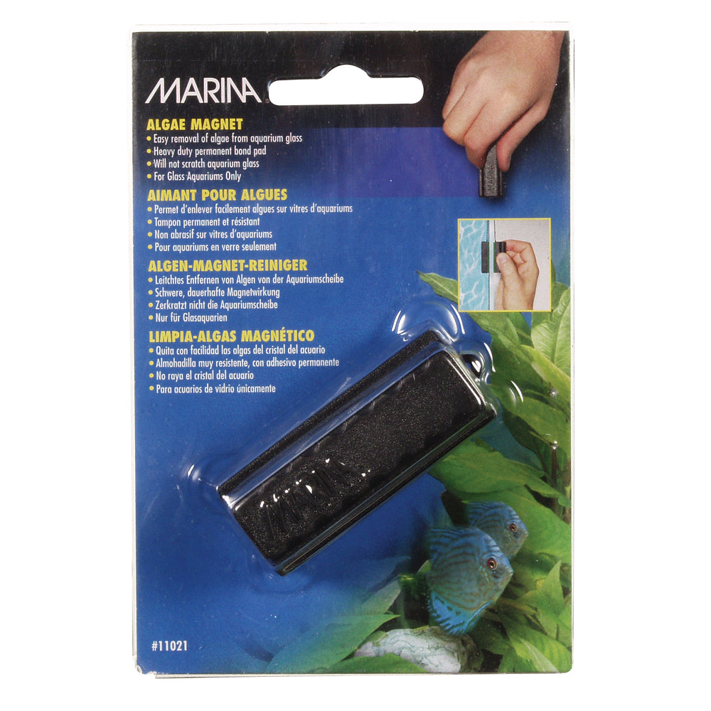 Marina Algae Magnet