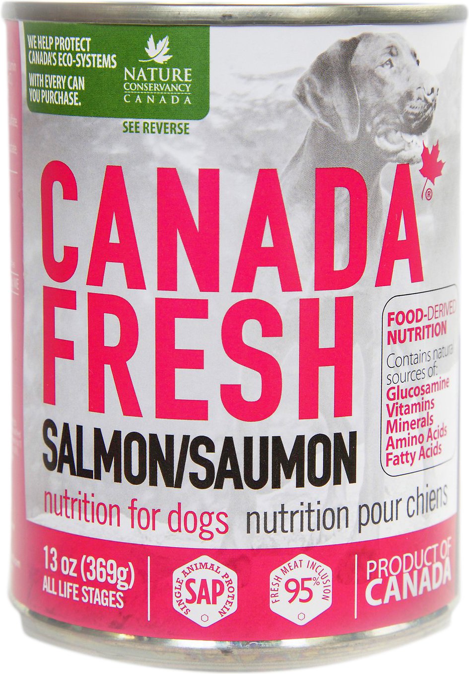 Canada Fresh Salmon