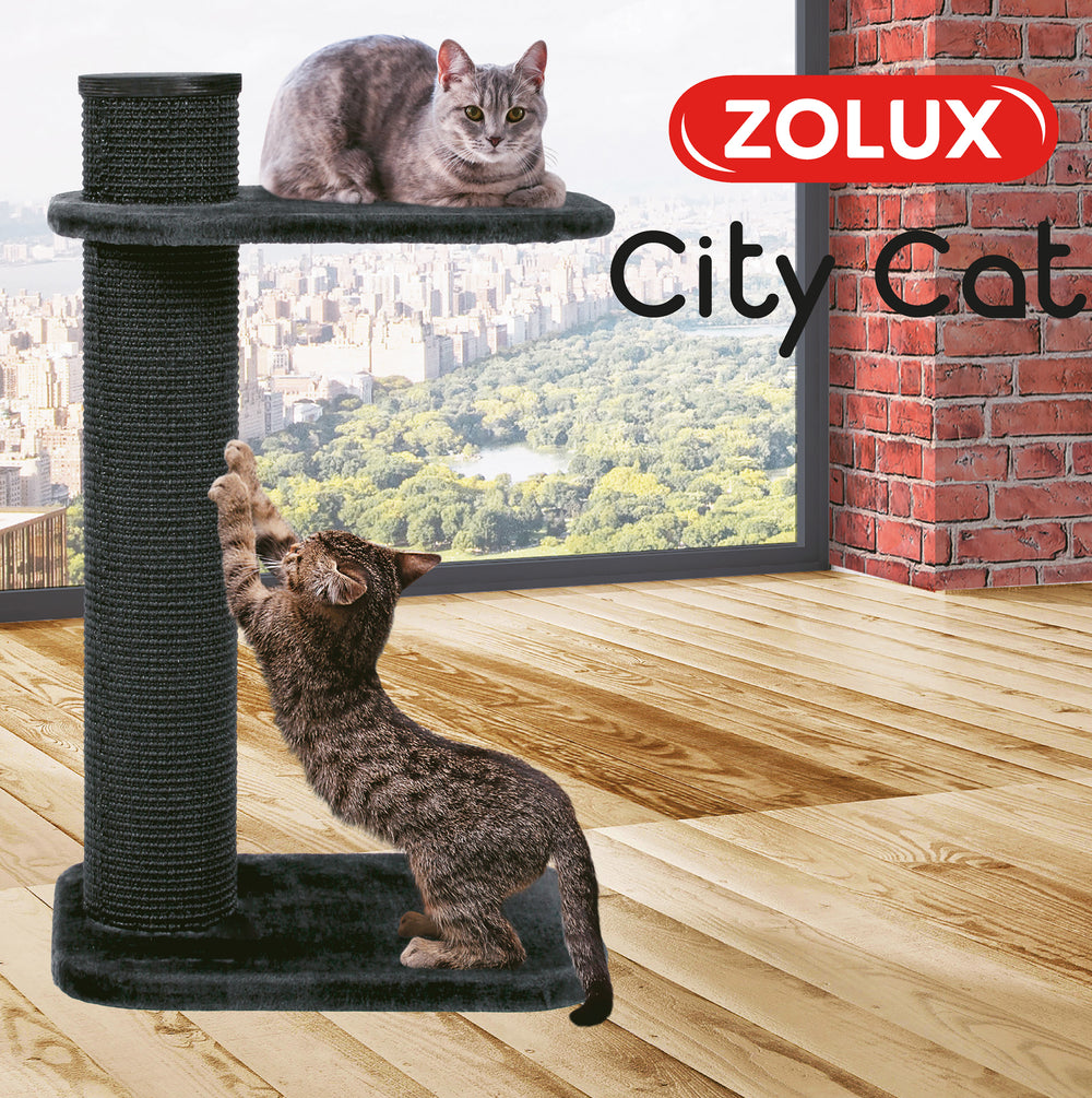 Zolux City Cat 2 Scratching Post with Platform