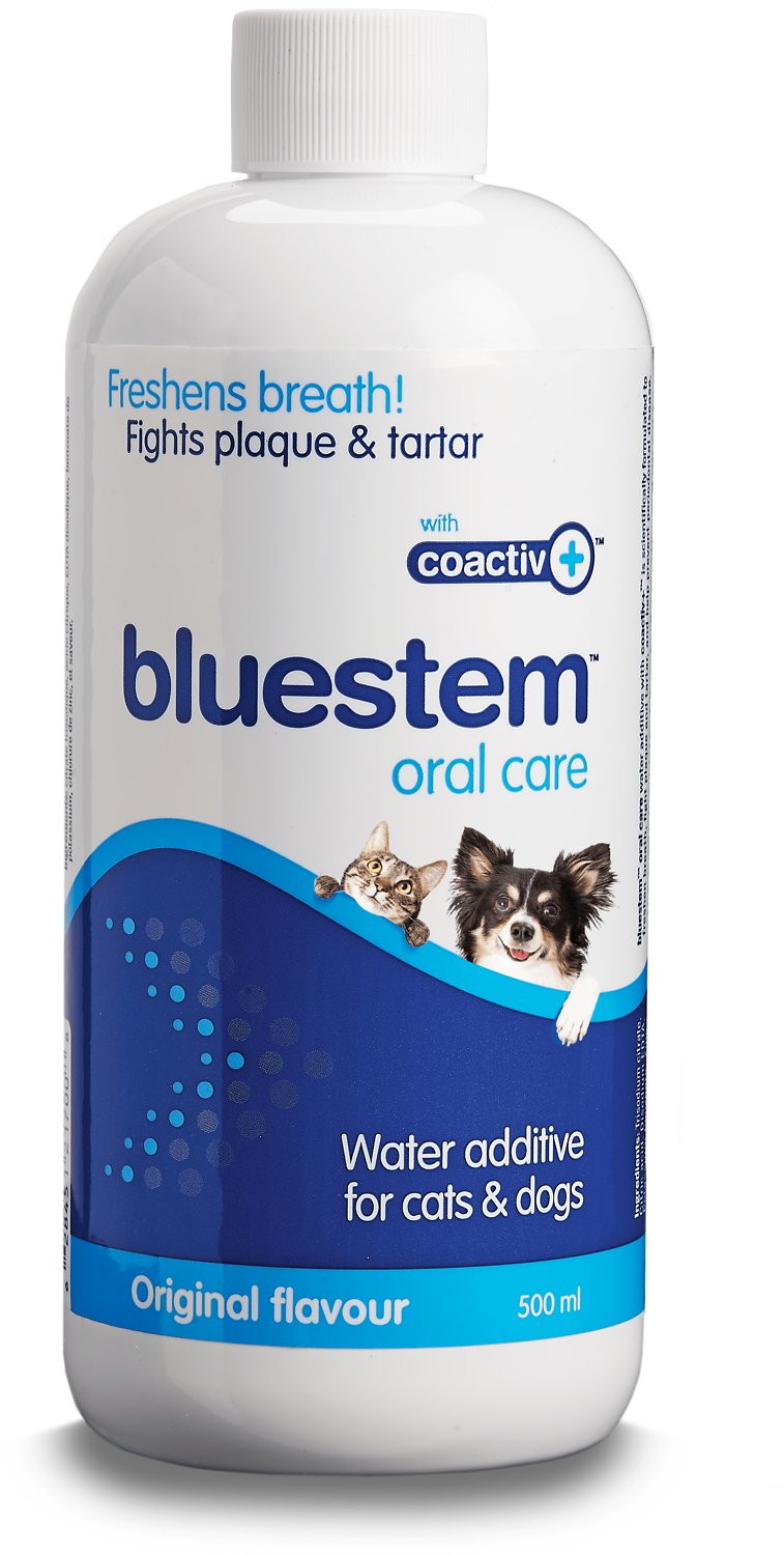 Bluestem Oral Care Water Additive Original