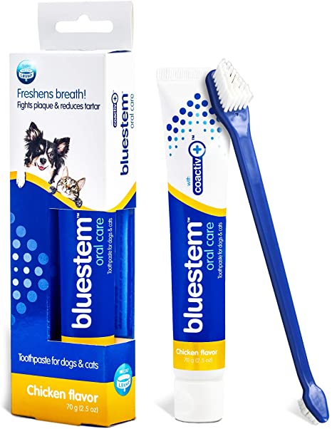 Bluestem Toothpaste/Brush Combo