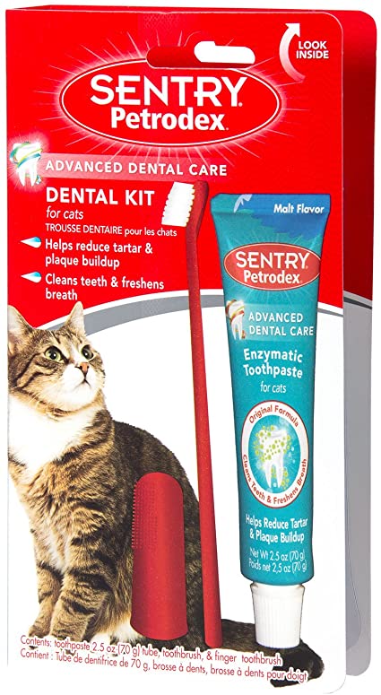 Petrodex Cat Dental Kit