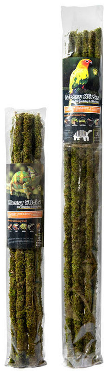Galapagos Mossy Sticks for climbers - 18"
