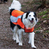 Canine Friendly High Visibility Vest