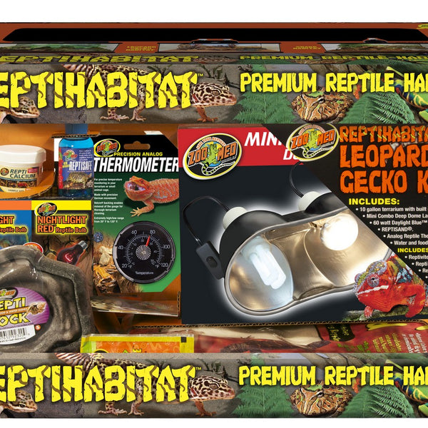 Leopard gecko kit online