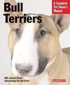 Barron's Bull Terriers