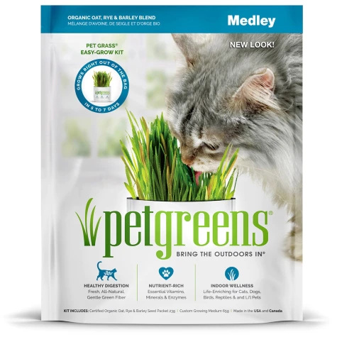 Pet Greens Medley Pet Grass Kit