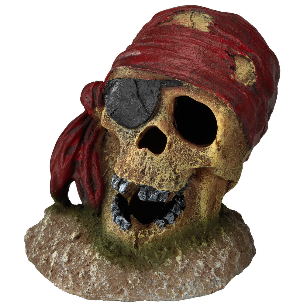 Aqua Della  Pirate Skull with Eye Patch