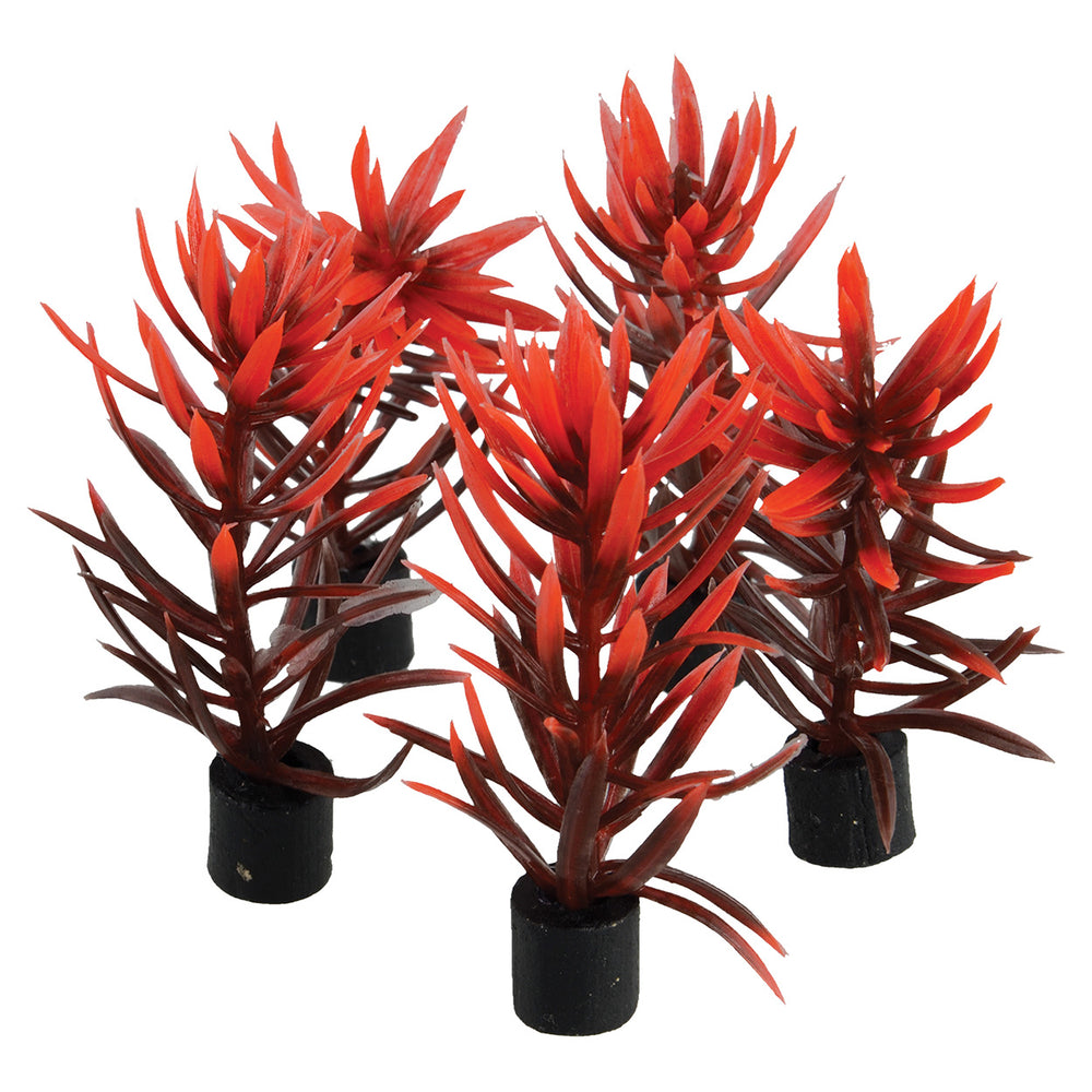 U.T. Mini Plants 5 pk