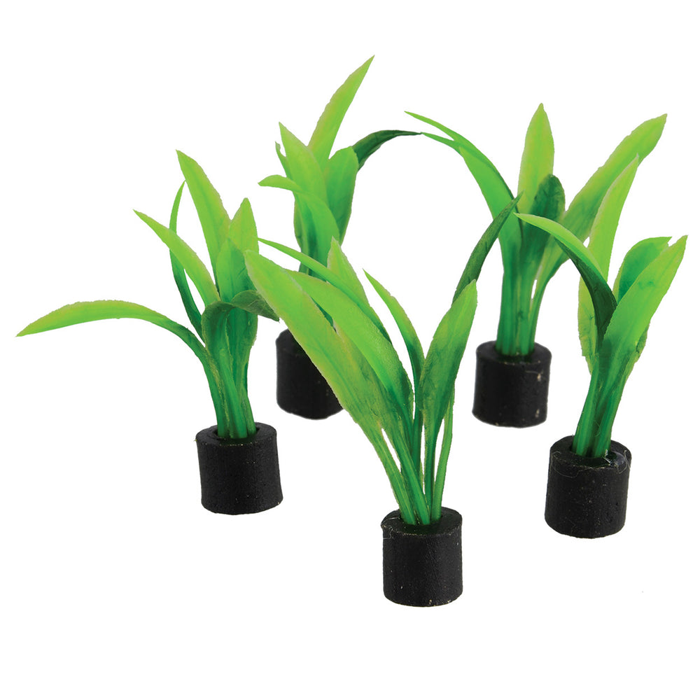 U.T. Mini Plants 5 pk