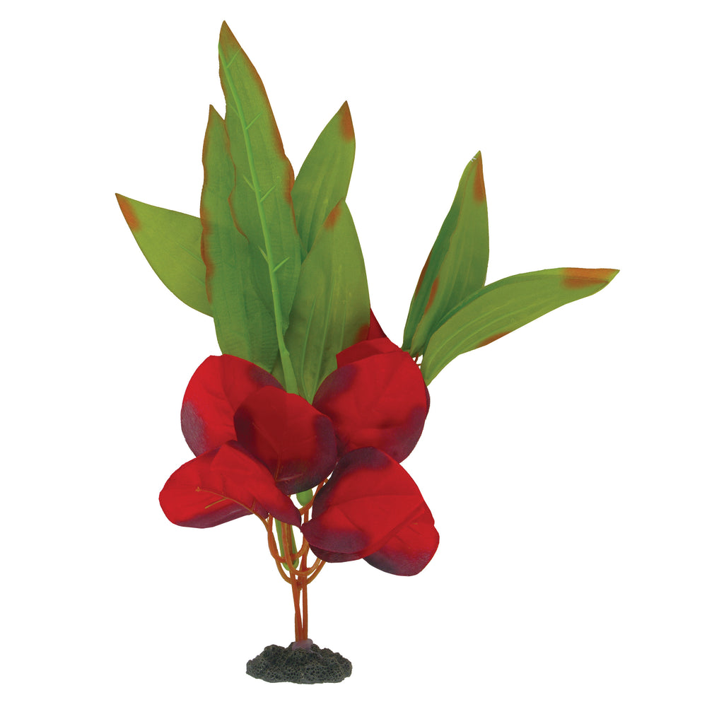 Marina Naturals Red & Green Sword Leaf Silk Plant