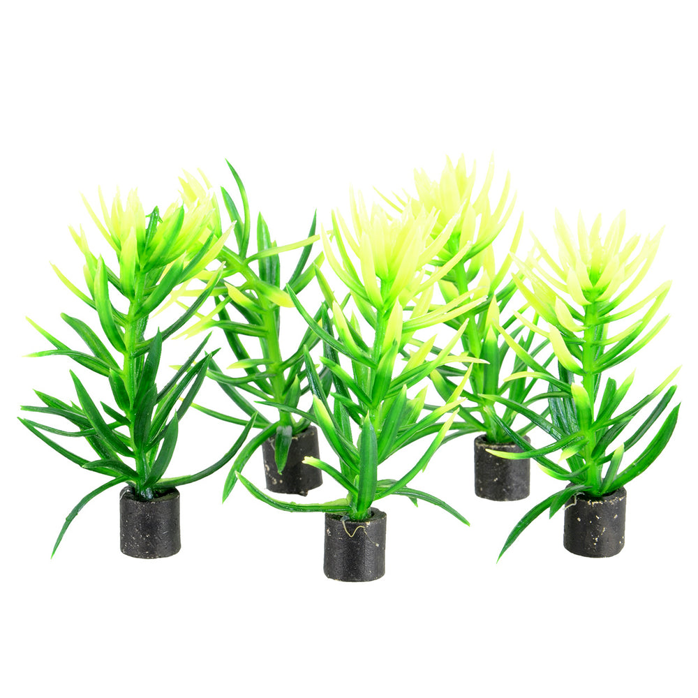 U.T. Mini Plants 5 pk