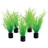 U.T. Mini Plants 5 pk