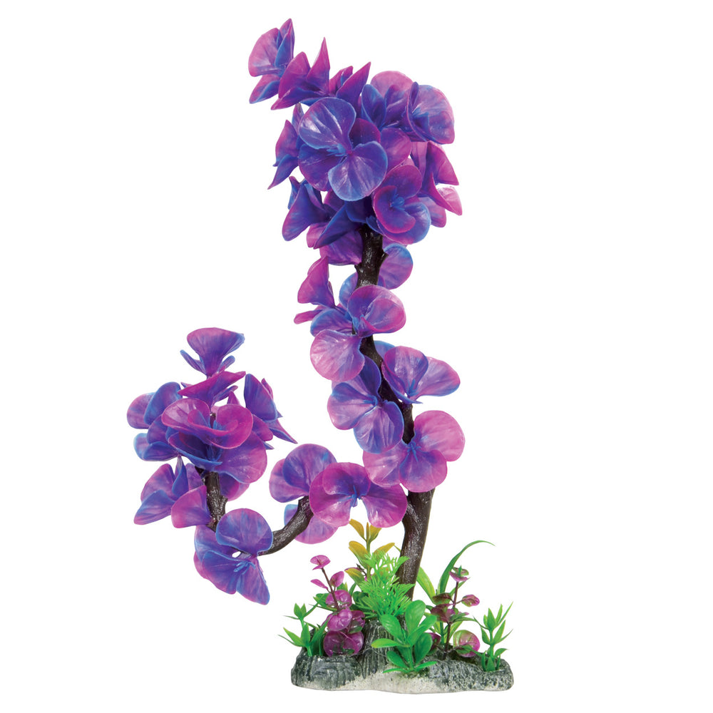 U.T. Lavender Lily