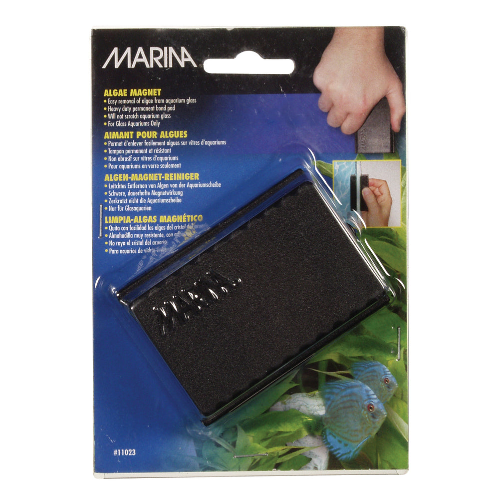 Marina Algae Magnet