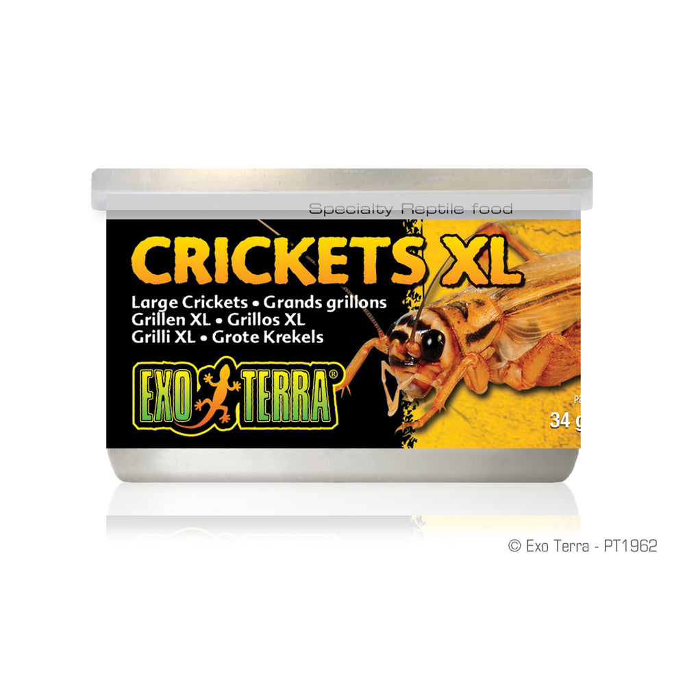 Exo Terra Canned Crickets XL