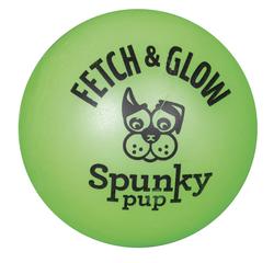 Spunky Pup Fetch & Glow Ball