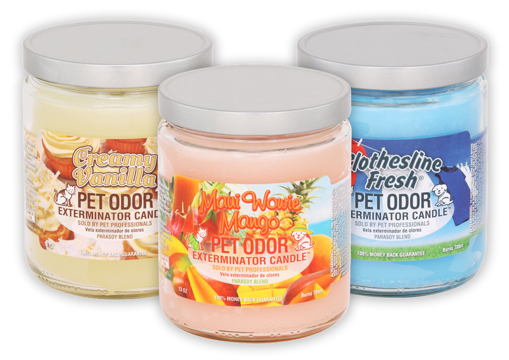 Pet sales deodorizer candle