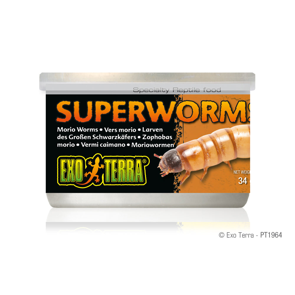 Exo Terra Canned Superworms