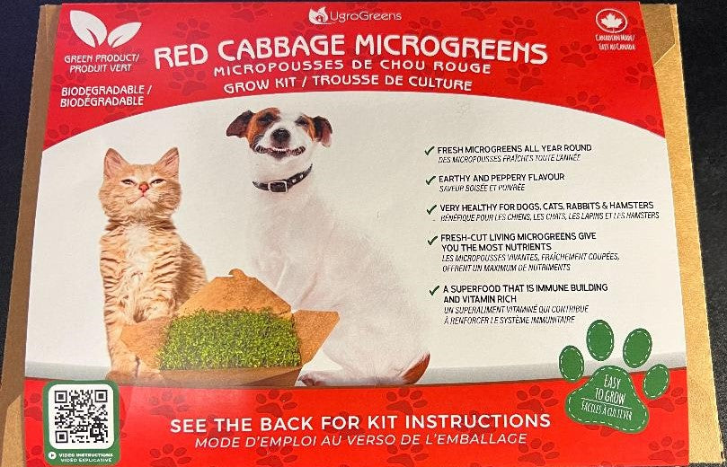 UgroGreens Red Cabbage Microgreens