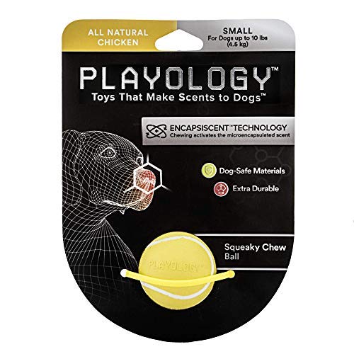 Playology® Squeaky Chew Ball